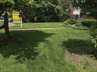 Patrick H.'s grass cutting service result