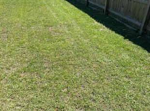 Bay D.'s grass cutting service result