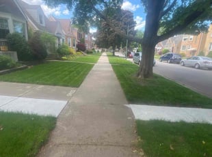 Jonathan C.'s turf maintenance service result