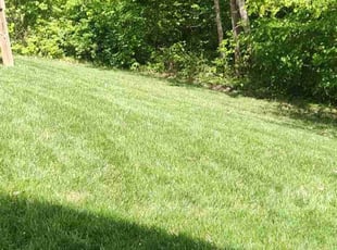 Brandon M.'s lawn care services service result