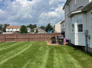 Melissa M.'s grass maintenance service result