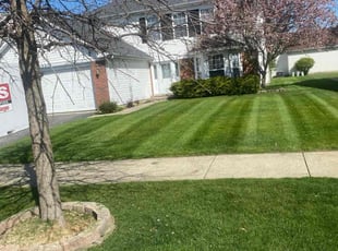 Billy J.'s turf maintenance service result