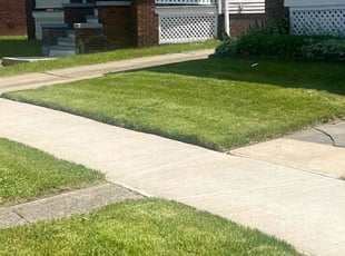 Beverly H.'s turf care service result