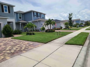 Josh M.'s grass cutting service result