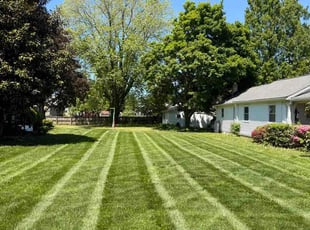 Zacharias R.'s grass maintenance service result