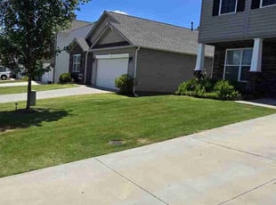 Stephanie T.'s lawn maintenance service result