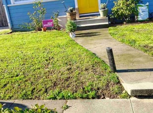 Sunita S.'s grass cutting service result