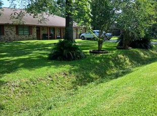Hollie D.'s lawn service service result