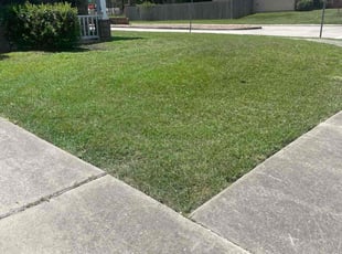 Teresa A.'s lawn maintenance service result