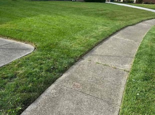 Vickie M.'s lawn service service result