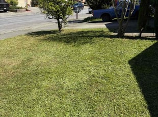 Samantha J.'s lawn maintenance service result