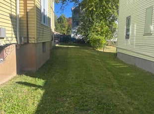 Patrick C.'s lawn service service result