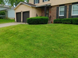 Justin M.'s lawn care service result