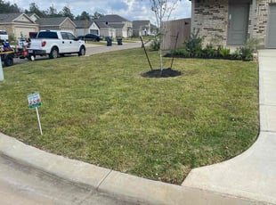 Alice B.'s lawn service service result