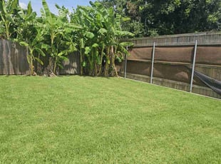 Nancy H.'s lawn service service result
