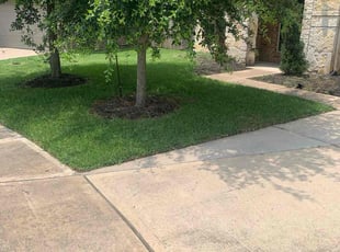 Robert R.'s lawn care services service result