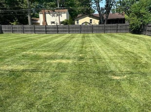 Shelly G.'s turf care service result
