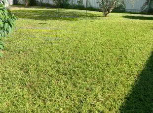Karen K.'s lawn care service result