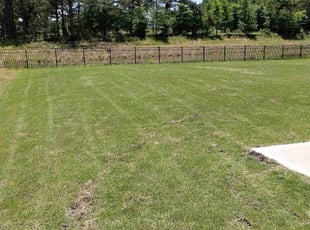 Donna G.'s lawn care services service result