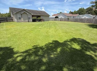 Sergio S.'s lawn service service result