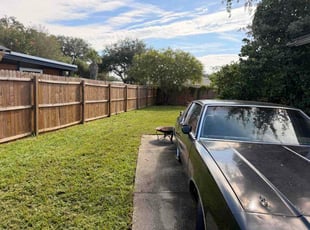 Khaled. K.'s turf care service result