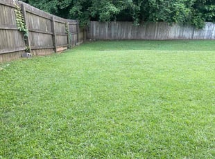 Irene A.'s turf care service result