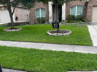 Ted D.'s lawn maintenance service result