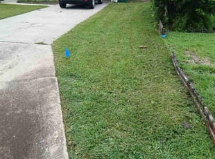 Burt S.'s grass cutting service result