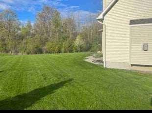 Rebecca R.'s grass maintenance service result