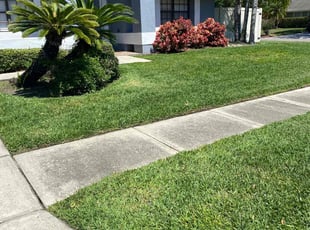 Marion A.'s turf maintenance service result