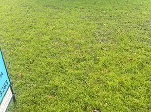 Jaisyn M.'s lawn service service result