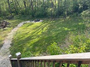 Rocio C.'s lawn care service result