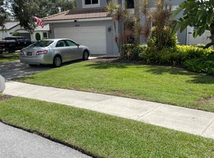 Adrian J.'s lawn care service result