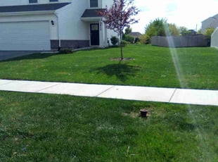 Eric R.'s turf care service result