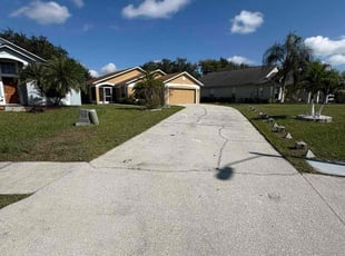 Sue D.'s lawn care service result