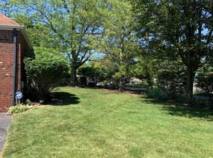 Joan N.'s lawn maintenance service result