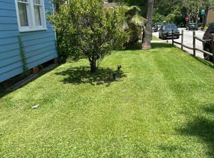 John O.'s lawn care service result
