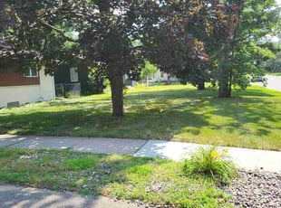 Matthew S.'s lawn care services service result