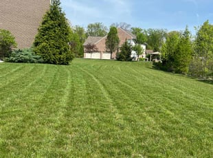 Maftuna I.'s turf maintenance service result