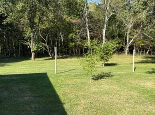 Charles K.'s lawn care service result