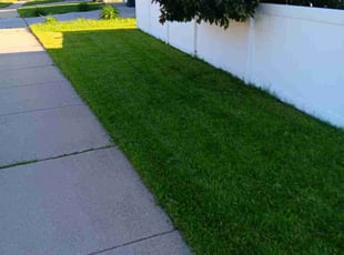 Stephen W.'s yard work service result