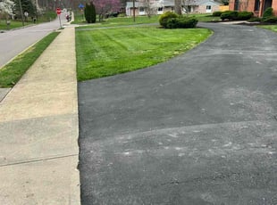 Mark L.'s lawn service service result