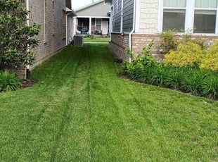 Carolyn T.'s turf care service result