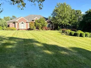 Patricia K.'s grass maintenance service result