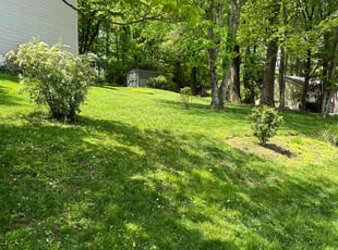 Linda C.'s grass maintenance service result