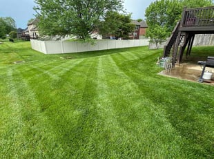 Jen A.'s turf maintenance service result