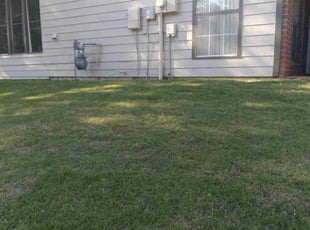Sharon M.'s lawn service service result