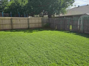 Mike L.'s grass maintenance service result