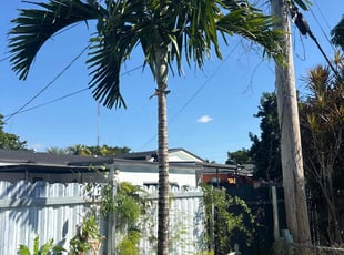 Hassan J.'s Custom service service result