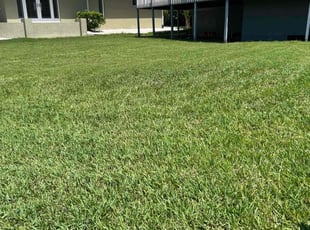 Soonchun M.'s turf maintenance service result